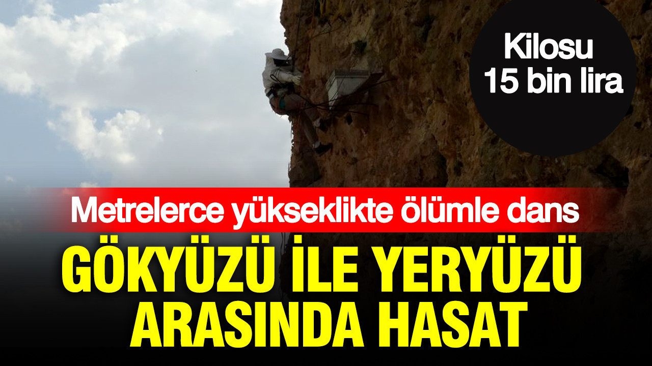 haber-gorseli-1786526137726